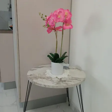 Apartman Wh - Dolce - Bilocale - 5 Minuti Dal Centro - Parcheggio Gratuito - Wifi *